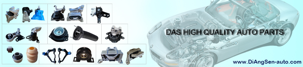 Xiamen DiAngSen Import & Export Co., Ltd.