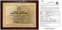 SGS Audited Supplier